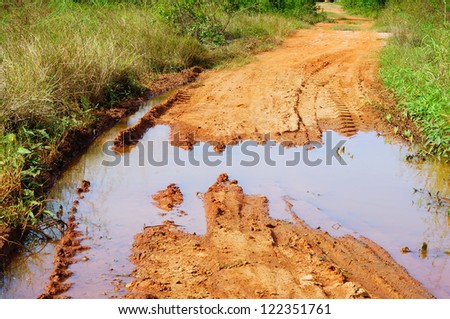 puddle on old cracked road