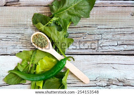 Green culinary background with fresh salad herbs such as spinach, lettuce, arugula leaves