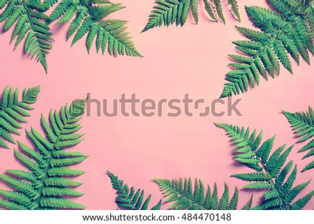 Similar – Image, Stock Photo Tropical fern background of jungle nature