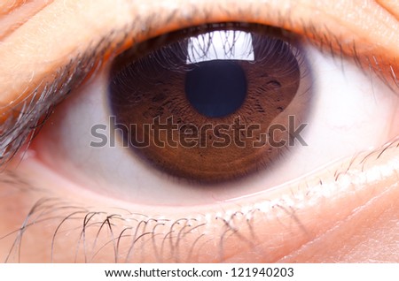 Close Up Image Of Brown Color Human Eye Stock Photo 121940203 ...