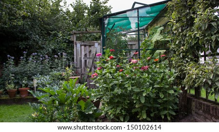 Greenhouse, flowers and vegetables in the vegetable garden at home