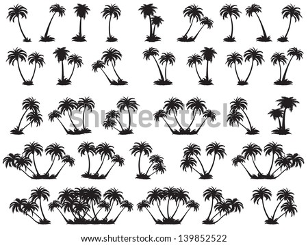 Vector illustrations silhouette of palm trees. A set of black trees on a white background