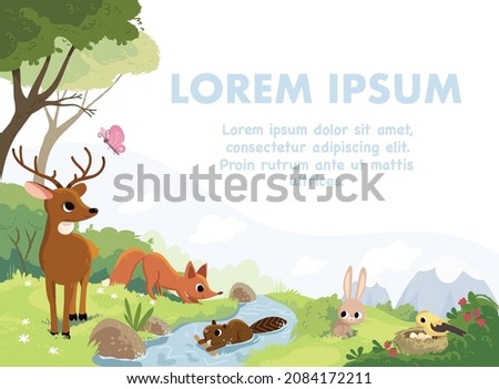 Similar – Foto Bild Bach in einem Wald Natur