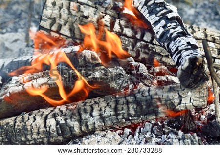 Charred wood burning down in the fire glow, close-up