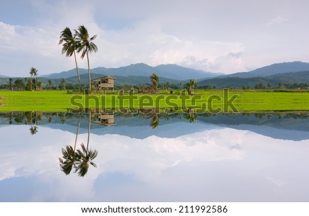 Reflection of a countryside scenery in Sabah, East Malaysia, Borneo