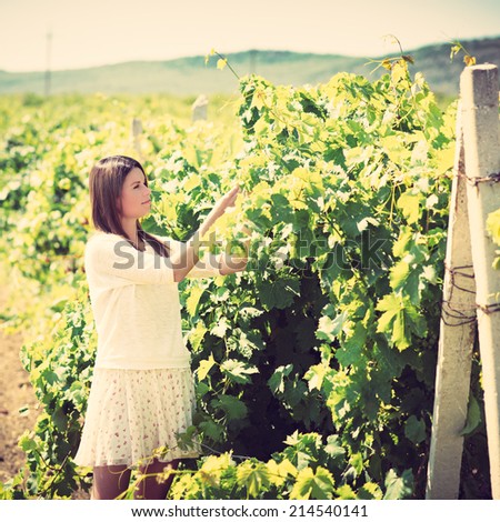 beautiful young woman, walks on a vineyard in a hot summer, sunny day. Photo with instagram style filters
