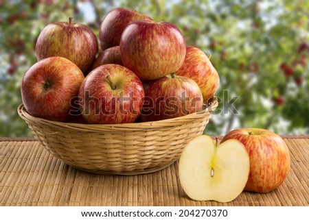 Some apples in a basket over a wooden surface on an apple field background