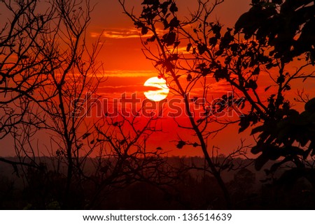 red sun set in thailand. silhouette photo.