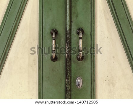 Double old white wood door with green pattern