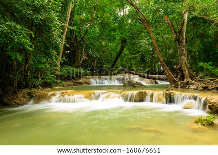 water stream in forest