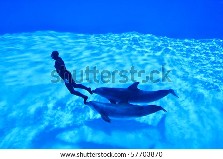 TORVAIANICA, ITALY - MAY 27: Simone Arrigoni, multiple prizewinner in freediving, pushed by the dolphins Paco and King sets a new world record at Zoomarine Parkon May 27, 2010 in Torvaianica, Rome.