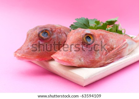 Food - Fish - Plate with red gurnard fish, studio isolated.