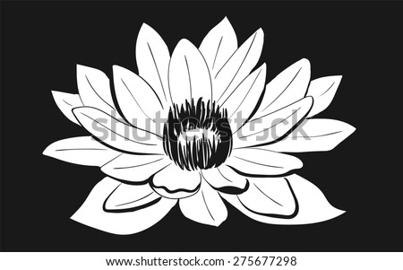 Vector Black and White Lotus flower drawn in sketch style on dark background. Line art