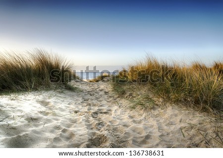 Similar – Image, Stock Photo Path through the dunes with a view of the beach of the North Sea