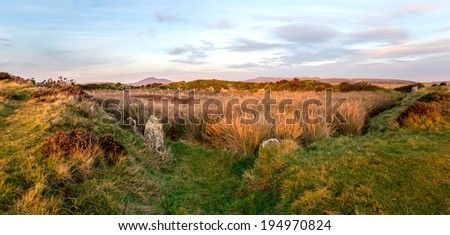 Standing stones at King Arthur\'s Hall a megalithic monument on Bodmin Moor in Cornwall