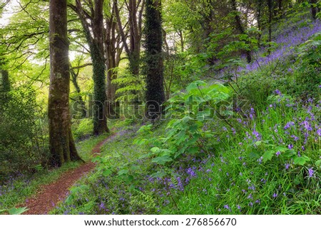 Similar – Image, Stock Photo Path through the meadow