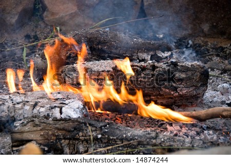 Cook out camp fire