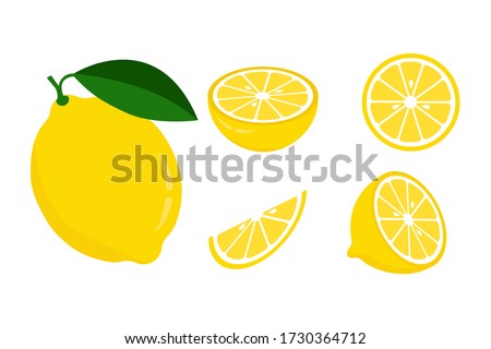 Icon set lemon, vector illustration on white background
