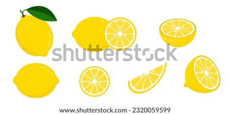 Fresh lemon icon vector illustrations