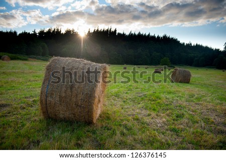 Hay Bale. During a beautiful summer sunset a hay roll will be transported to the barn for storage.