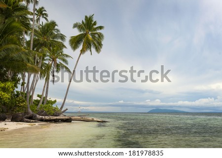 Tropical Island Paradise. White sand and palm trees fringe a beautiful deserted island in the remote Indonesian archipelago.