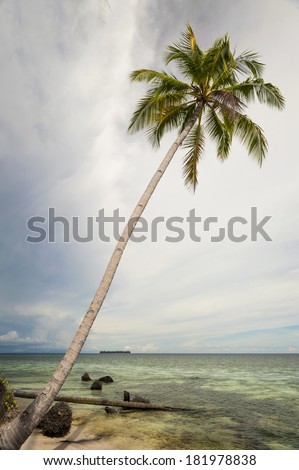 Tropical Island Paradise. White sand and palm trees fringe a beautiful deserted island in the remote Indonesian archipelago.