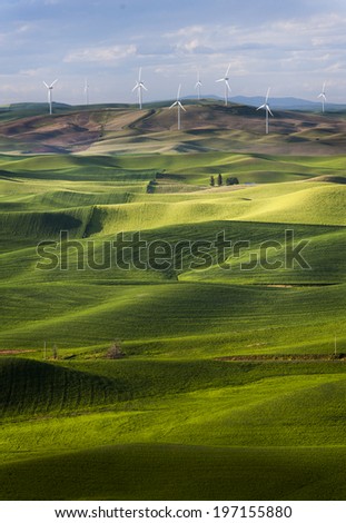 Steptoe Butte Wind Turbines. Wind turbines seen from the Steptoe Butte State Park lookout. One of the largest wind farms in the country. Seen in the Palouse area of Eastern Washington state, USA.