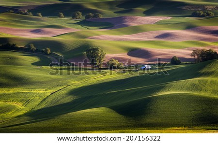 Washington Palouse.. The view of the farmland in eastern Washington as seen from Steptoe Butte State Park at sunset. The low light and low rolling hills is unique to the area-almost painterly.