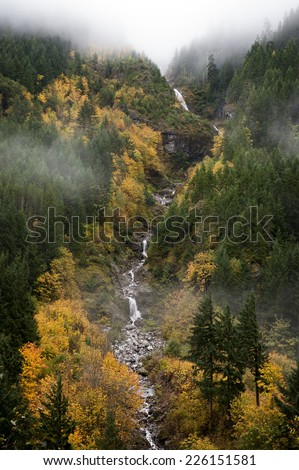 Autumn Scenery in the North Cascade Mountains. Big leaf maple trees line a small stream as it cascades down the mountainside in western Washington state.