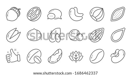 Nuts and seeds line icons. Hazelnut, Almond nut and Peanut. Walnut, Brazil nut, Pistachio icons. Cacao and Cashew nuts. Linear set. Quality line set.