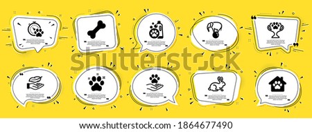 Animals icons set. Speech bubble offer banners. Yellow coupon badge. Included icon as Elephant on ball, Pet friendly, Dog competition signs. Pet shelter, Animal tested, Pets care symbols. Vector