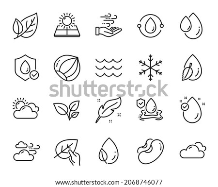 Vector set of Hazelnut, Snowflake and Cloudy weather line icons set. Beans, Leaves and Cold-pressed oil icons. Wind energy, Waves and Flood insurance signs. Leaf, Vitamin e and Leaf dew. Vector