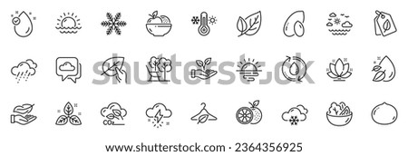Icons pack as Orange, Slow fashion and Vitamin e line icons for app include Rainy weather, Refill water, Organic tested outline thin icon web set. Peanut, Fair trade, Snow weather pictogram. Vector