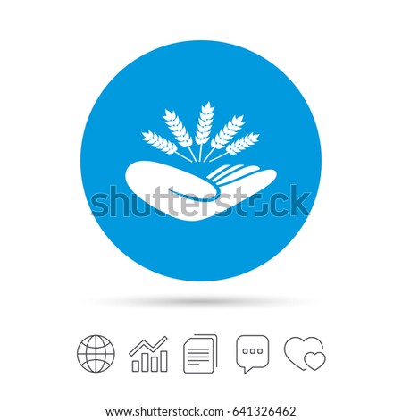 Similar – Image, Stock Photo Filed with wheat against blue sky