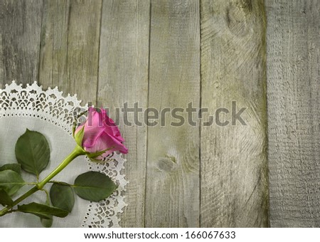 Pink rose on white napkin and wooden background. Romantic still life.