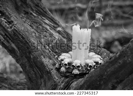 Blown out candles with smoke on the old tree in the dark forest. Black and white image for Halloween day, processed with filters.