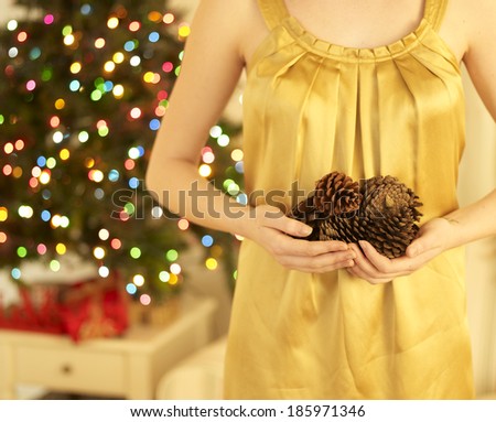 Close-Up of Woman Holding Pine Cones