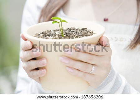 woman holding pot with new sprout