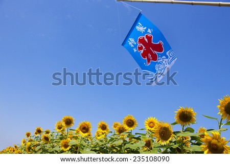 Shaved ice banner and sunflower
