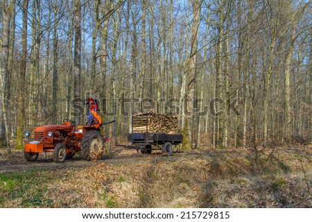 Tractor with fire wood in the forest
