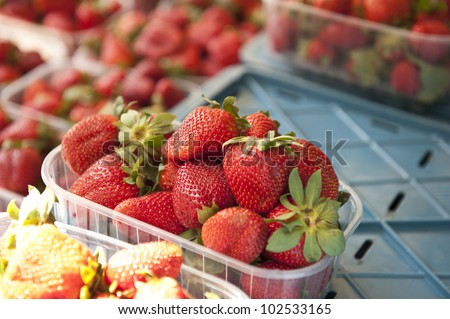 Brightly lit photo of strawberries at an outdoor food market.