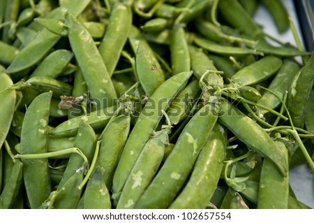 A macro shot of organic green beans.