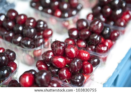 Outdoor shot of fresh cherries grouped in plastic containers.