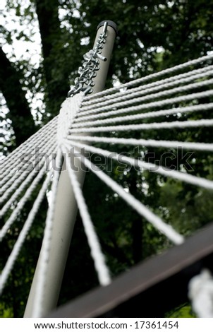 Ants eye view of white hammock strings