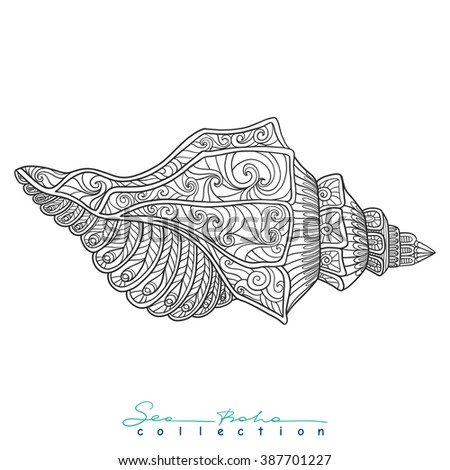 Decorative Sea Shell. Outline Drawing. Coloring Book For Adult And ...