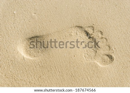 A single foot print imprinted in the sand on the beach.
