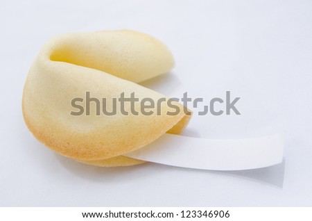 A Single Fortune Cookie With Blank Fortune