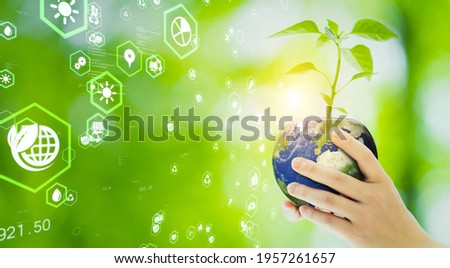Woman holding a plant pot like planet earth. Environment protection concept. Sustainable development goals. SDGs.