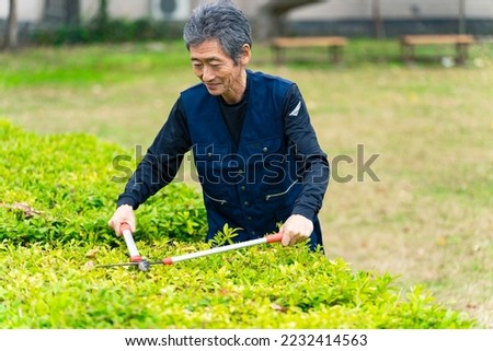 Similar – Image, Stock Photo Senior man pruning branches in back yard