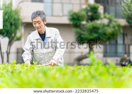 Similar – Image, Stock Photo Senior man pruning branches in back yard